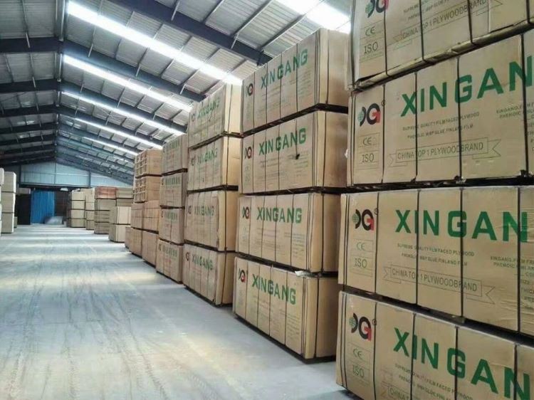 XINGANG2