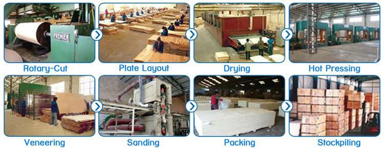 Construction plywood show