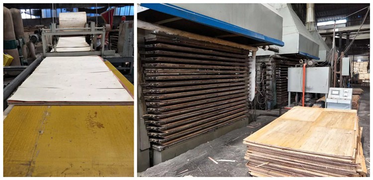 XG PLYWOOD SPREADING AND PRESSING