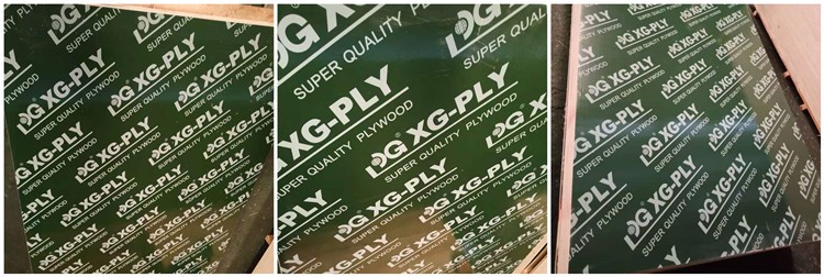 Green FFP XG-PLY