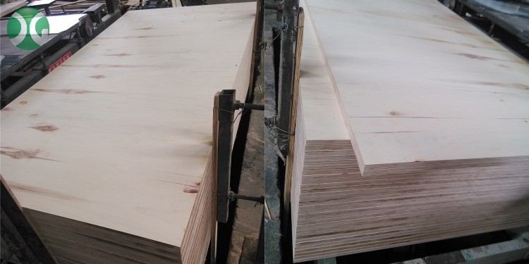 221021 Birch FFP Core