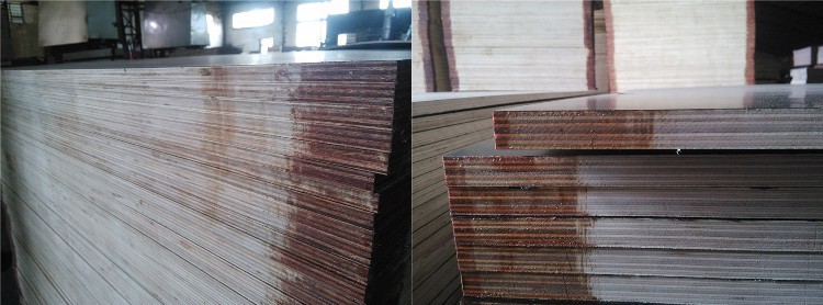 221021 Birch FFP Stacking