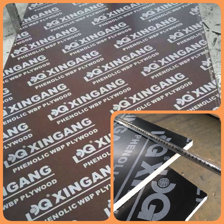 XG FFP WITH LOGO 221114