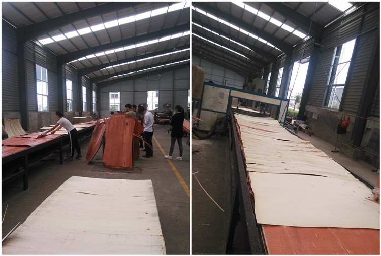 Veneer Spreading 221122