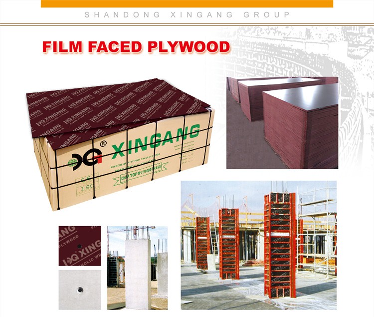 XG CATALOG FFP 221122