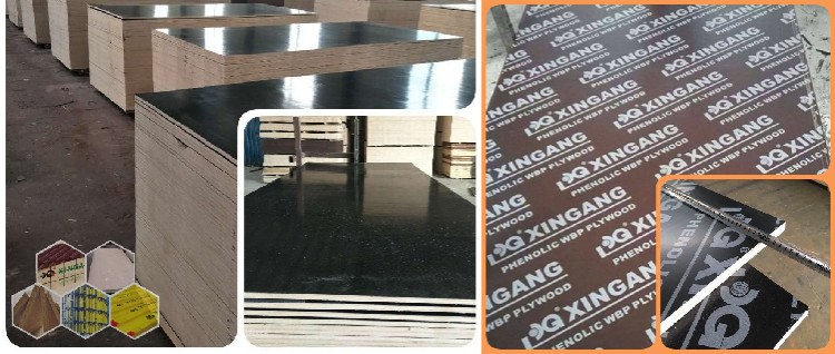 XG FFP Film Surface XG FFP Film Surface