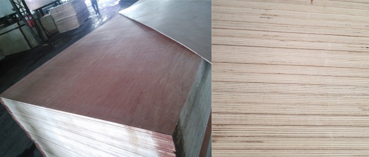 Bintangor Plywood Stacking_ Bintangor Plywood Stacking_