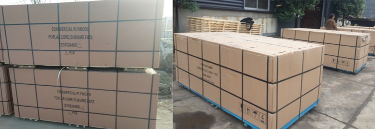 CP Cdbd PACKING 221212