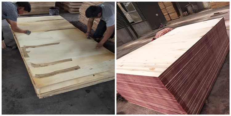 product-750-377 product-750-377