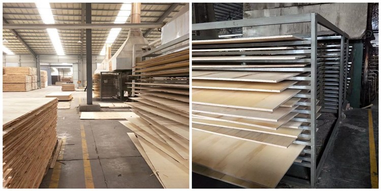 product-750-377 product-750-377