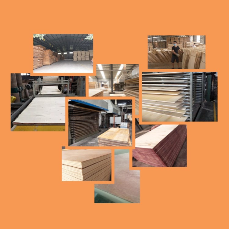product-750-750 product-750-750