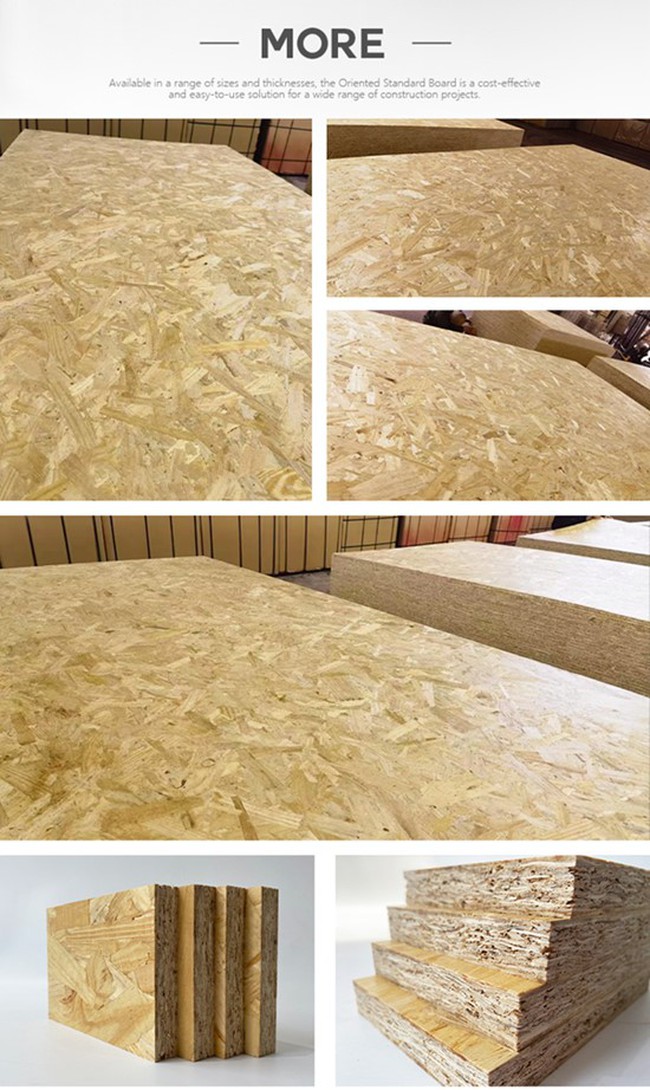 Oriented Strand Board 2