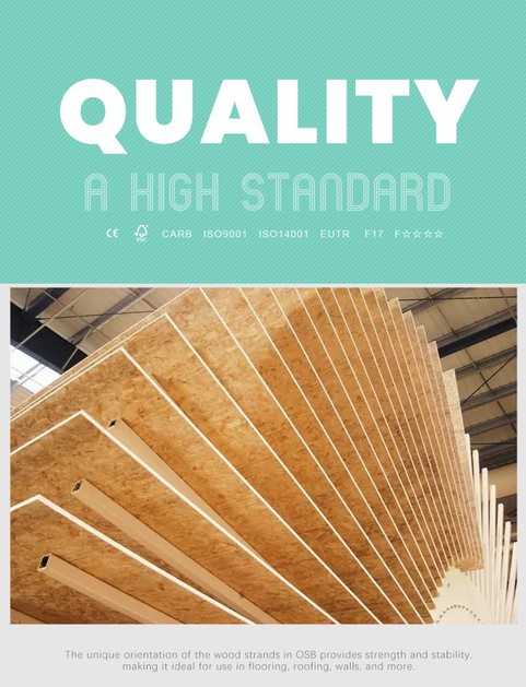 Oriented Strand Board 3