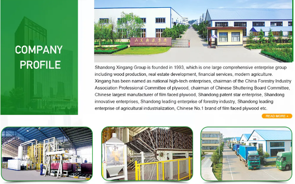 company profile