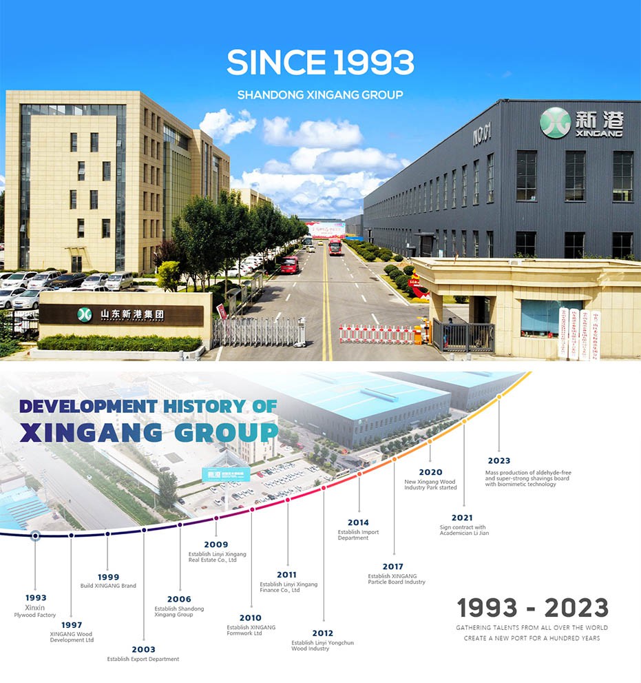 Shandong Xingang Global Group Shandong Xingang Global Group