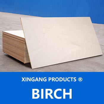 Birch Birch