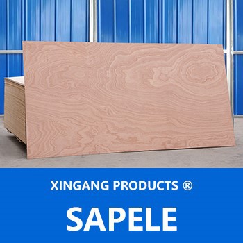 Sapele Sapele