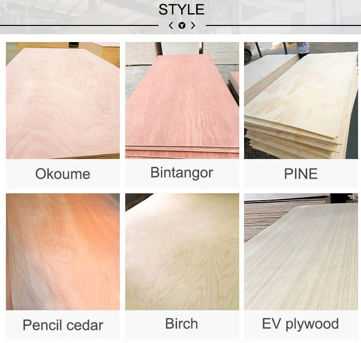 veneer