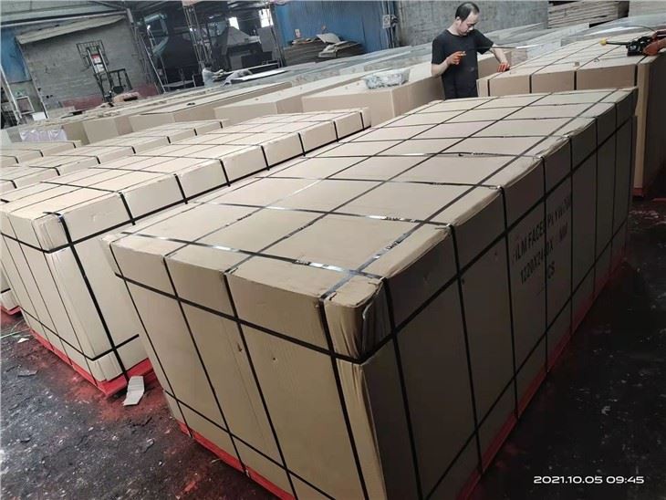 15mm Black Film Finger Joint-Thailand