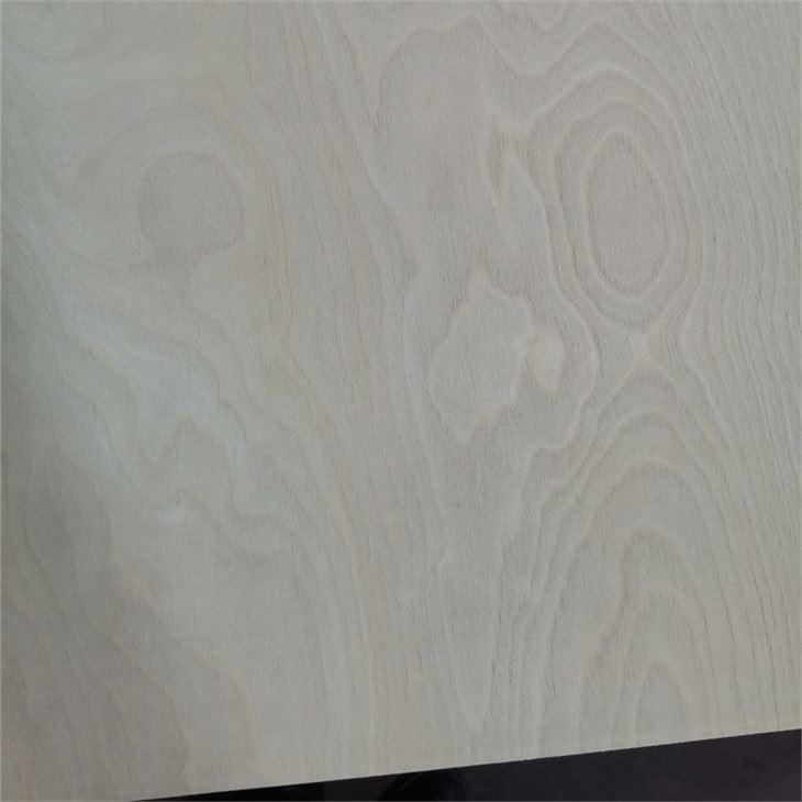 Birch Plywood E1 Glue for Furniture