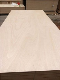 Bintangor Okoume Pine Plywood For Furniture/packing