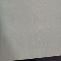 Birch Plywood E1 Glue for Furniture