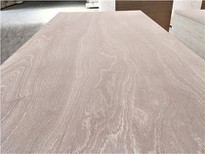 Sapele Veneer Faced Fancy Plywood