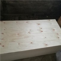 Structrual CD Pine Plywood for Construction