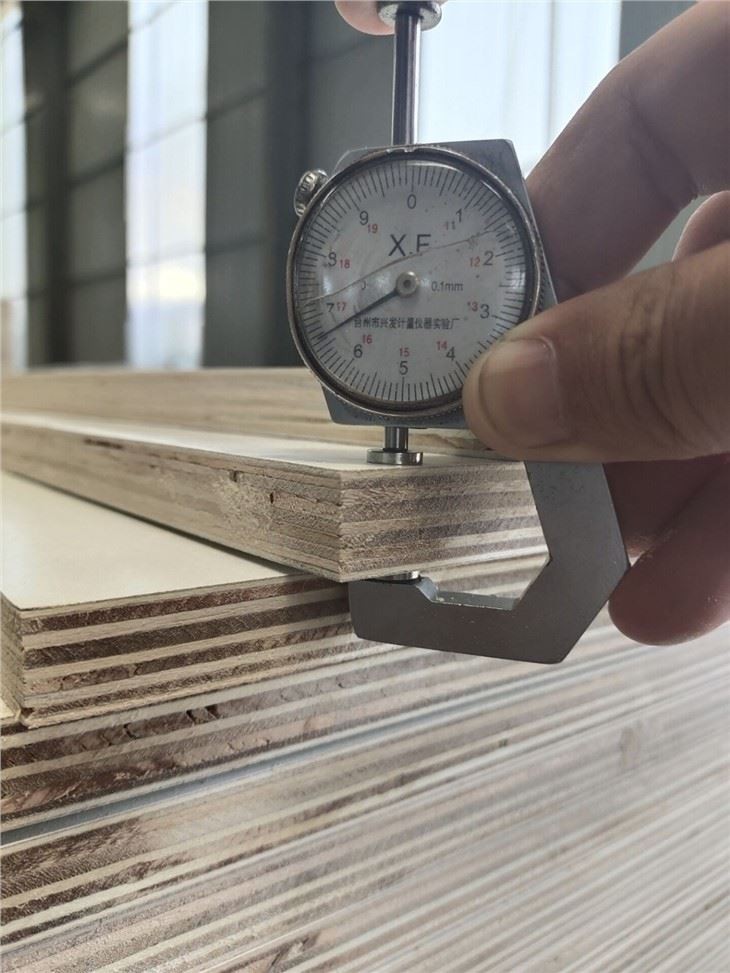 1220x2440x6mm 12mm 15mm 17mm 18mm Melamine Faced MDF Plain MDF HDF