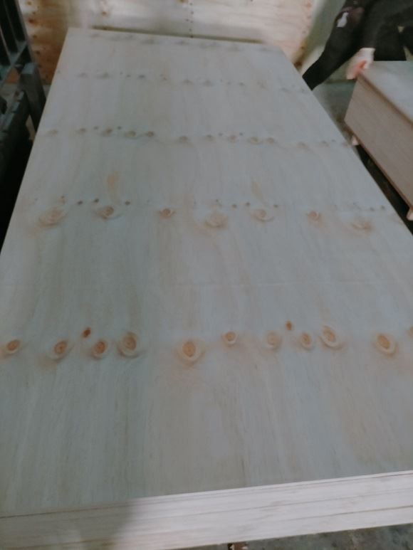 15MM CDX Plywood For Structure