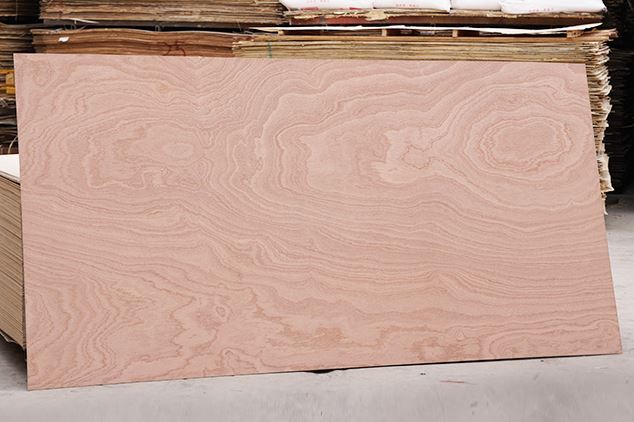 16MM Pencil Ceder Commercial Plywood