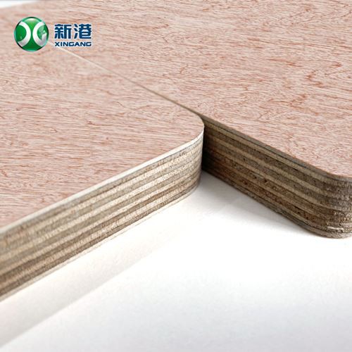 18mm Bingtangor Plywood