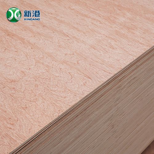 18mm Bingtangor Plywood