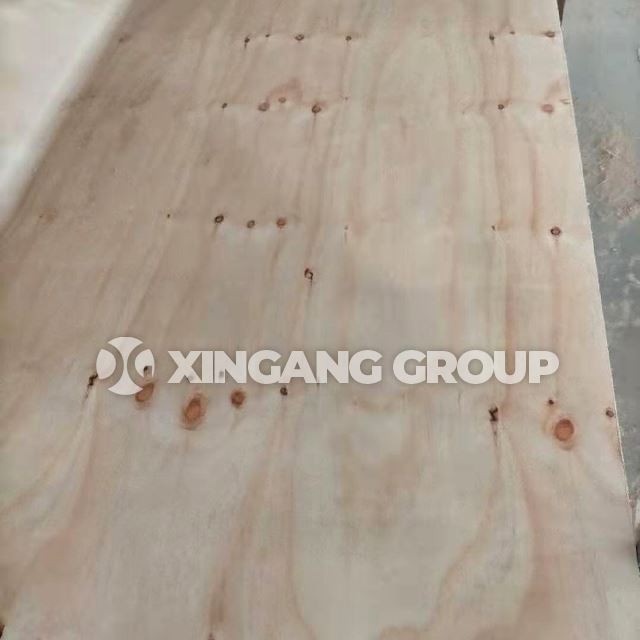 18mm CDX Plywood Factory Price Structure Best Quality