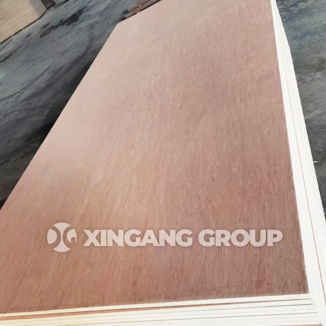 18mm Commercial Plywood Furniture Plywood Packing Plywood Face Back For Bintangor Okoume Birch Sheet MR E0 E1 E2