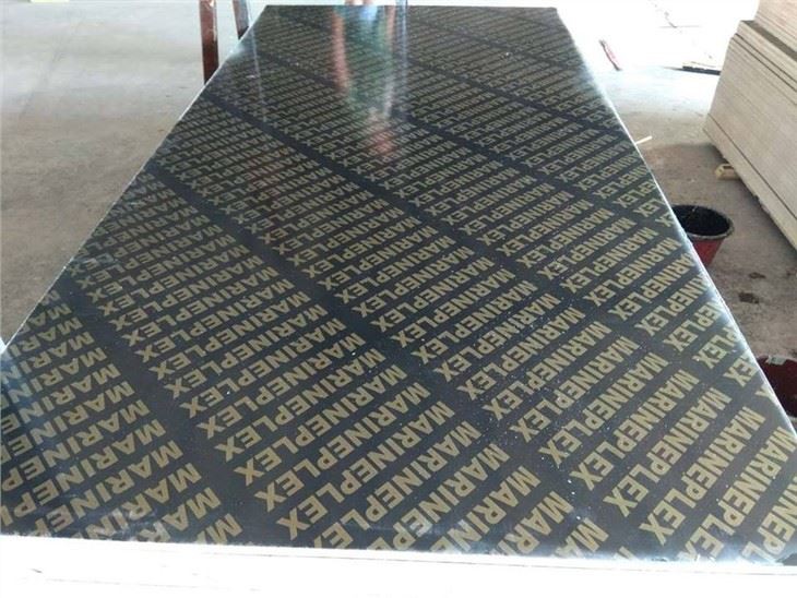 18mm Film Faced Plywood Factory in China