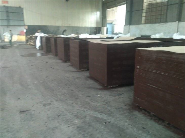 18mm High Quality Film Faced Plywood For Saudi Arabia