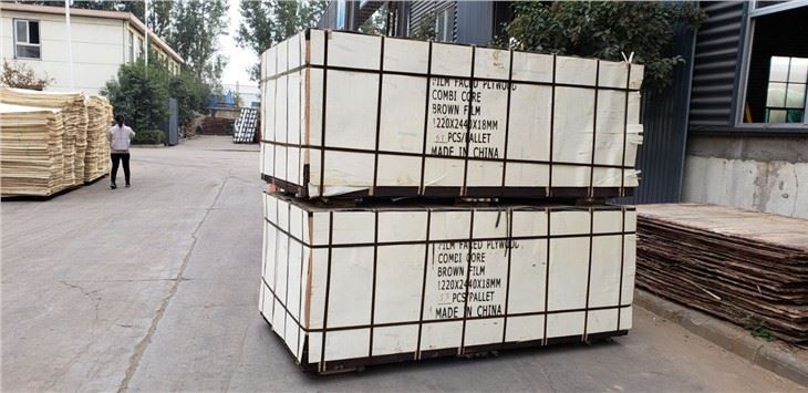 18mm Marine Plywood Manufacturer- Shandong Xingang Global Group