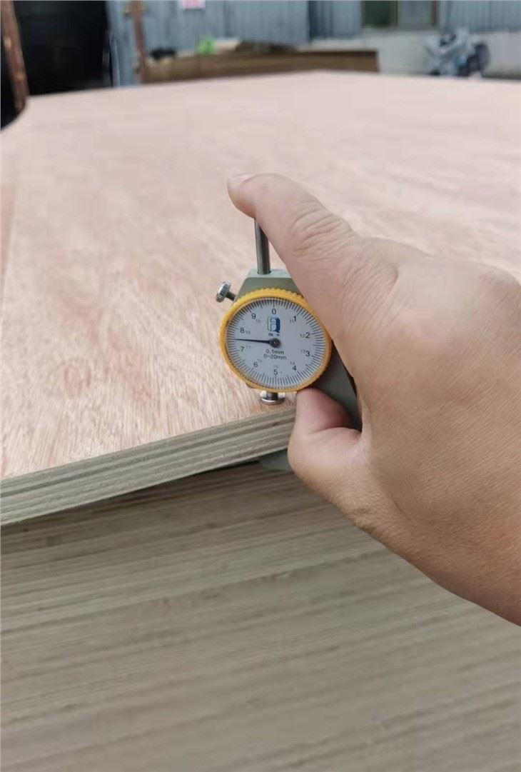 Commercial Plywood 1220*2440 Bintangor Face
