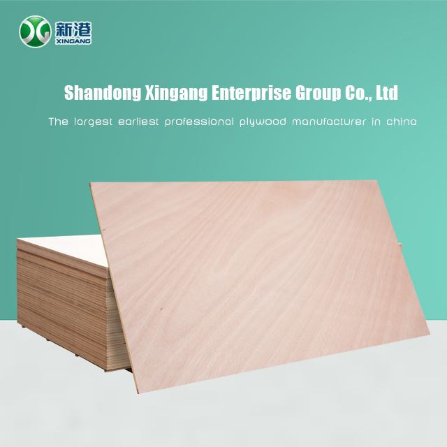 3mm 5mm 9mm 12mm 15mm 18mm Commercial Plywood Baltic Birch Plywood Wholesale