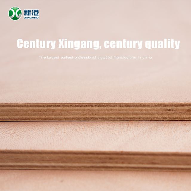 3mm 5mm 9mm 12mm 15mm 18mm Commercial Plywood Baltic Birch Plywood Wholesale