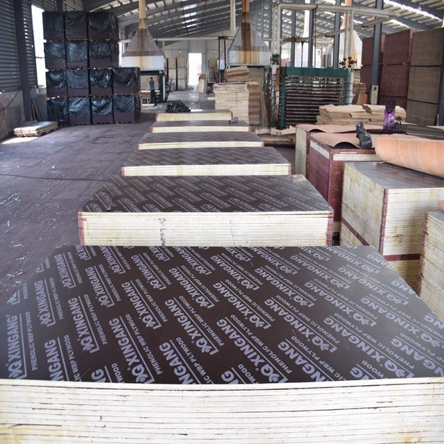 4'x8' Poplar Film Faced Plywood