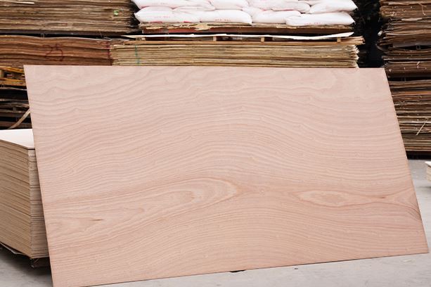 E2 Glue Commercial Plywood For Fiuniture