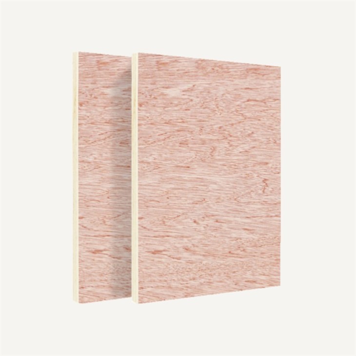 4X8 FT Veneer Board Plywood For Furniture