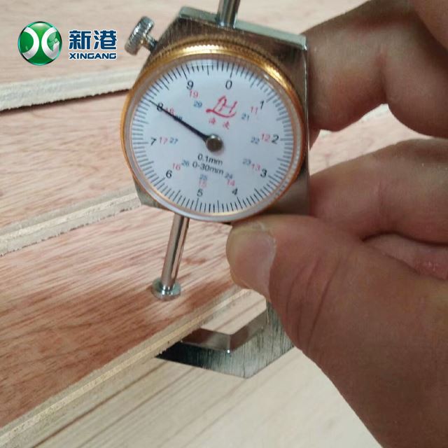 Bingtango Face Commercial Plywood