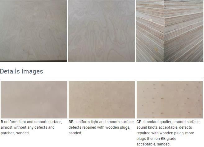 PEFC Certificated Premium Grade 5x10' Special Size Full Birch Marine Plywood