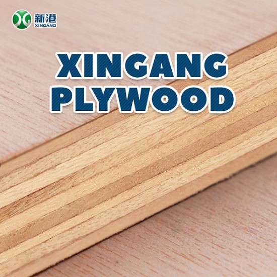 8mm/12mm/15mm Brich Plywood Best Quality in China Factory
