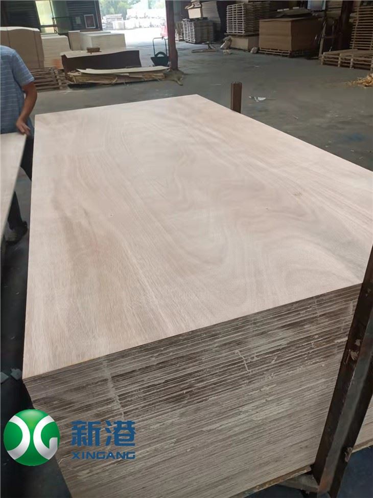 9mm 12mm 15mm 18mm 21mm Top Quality Plywood For Furniture Or Construction Hardwood Poplar Birch Plywood