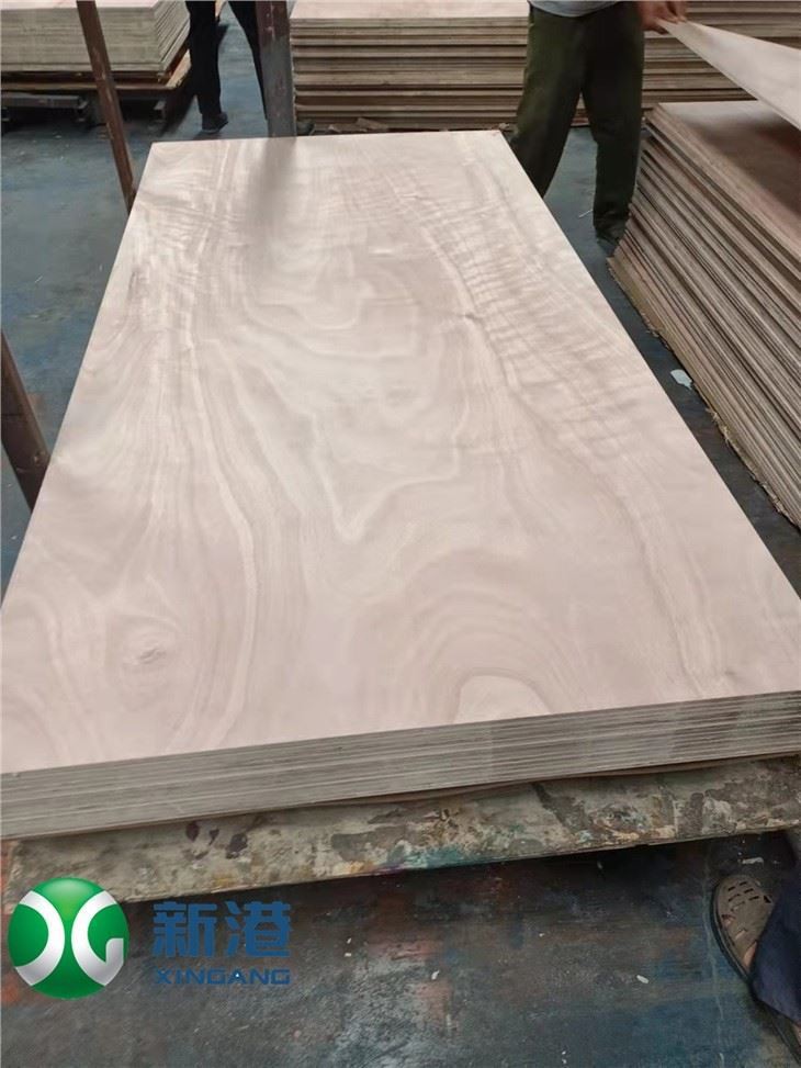 9mm 12mm 15mm 18mm 21mm Top Quality Plywood For Furniture Or Construction Hardwood Poplar Birch Plywood