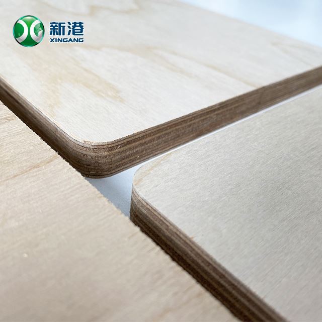 Best Full Birch Plywood XINGANG Brand